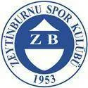 Logo of Zeytinburnuspor