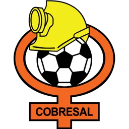 Logo of Cobresal