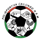 Logo of Cailungo