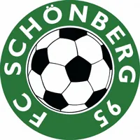 Logo of Schonberg 95