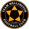 Logo of Team Wellington