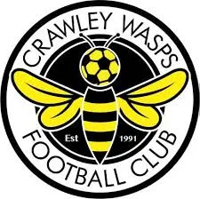 Logo of Crawley Wasps (w)
