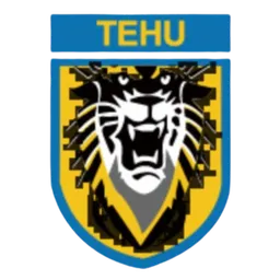 Logo of Nanjing Tehu Football Club