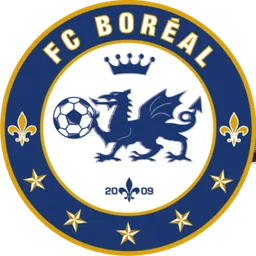 Logo of Boreale