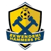 Logo of Ekwendeni Hammers