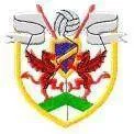Logo of Brynririon Ath.