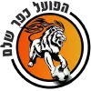 Logo of Hapoel Kfar Shalem