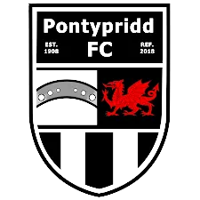 Logo of Pontypridd