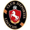 Logo of Deportes Limache (W)