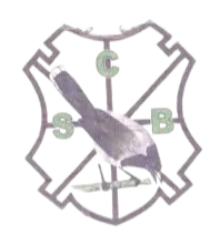 Logo of Sporting Braga MA U19