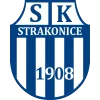 Logo of Strakonice