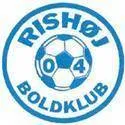 Logo of Ishoj IF