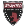 Logo of Wexford Youths U19