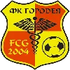 Logo of FK Gorodeya Reserves