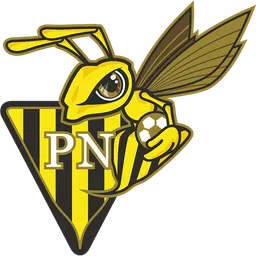 Logo of Progres Niedercorn