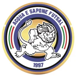Logo of Acqua e Sapone C5 Futsal