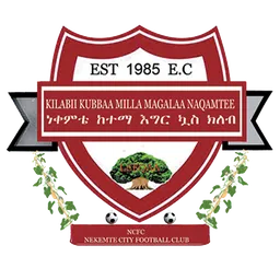 Logo of Nekemte Ketema