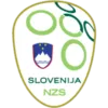 Logo of Slovenia U19