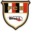 Logo of Bleid