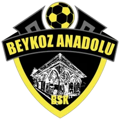 Logo of Beykoz Anadolu