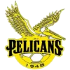 Logo of Pelicans SC