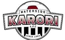 Logo of Waterside FC