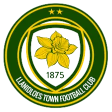 Logo of Llanidloes Town