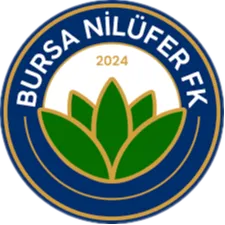 Logo of Bursa Nilüfer FK