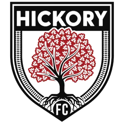 Logo of Hickory FC