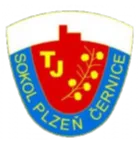 Logo of TJ Sokol Cernice