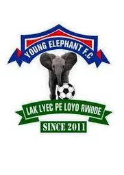 Logo of Young Elephant FC