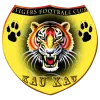 Logo of Mighty Tigers