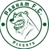 Logo of Parham FC