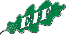 Logo of EIF Academy