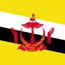 Logo of Brunei Futsal