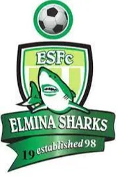 Logo of Elmina FC