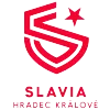 Logo of FC Slavia HK
