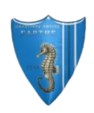 Logo of AO Sartis