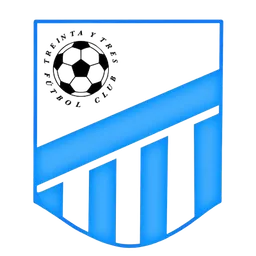 Logo of Treinta y Tres Capital