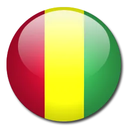 Logo of Guinea U20