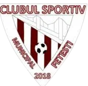 Logo of CSM Fetesti