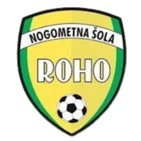 Logo of NS Roho Vbo