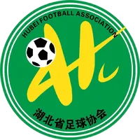 Logo of Hubei U20