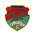 Logo of Sokol Nisko