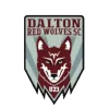 Logo of Dalton Red Wolves SC