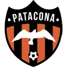 Logo of Patacona