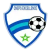 Logo of CNEPS Excellence