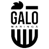 Logo of Adap-Galo Maringa