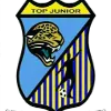 Logo of Top Junior