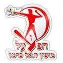 Logo of Hapoel Daliyat Al Karmel